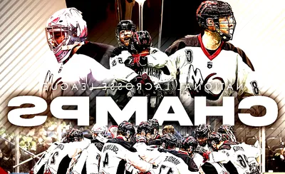 Colorado Mammoth